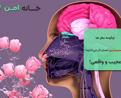 تأثیر عطرها بر تصمیم گیری